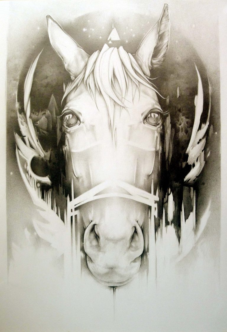 Cheval Mose Dessin