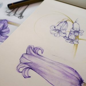 étudedessin Mose
